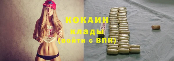 прущий лед Козловка