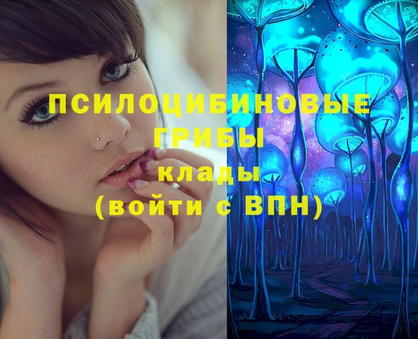 прущий лед Козловка