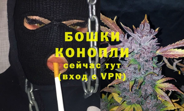 прущий лед Козловка