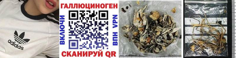 Галлюциногенные грибы Cubensis это наркотические препараты Бирюсинск